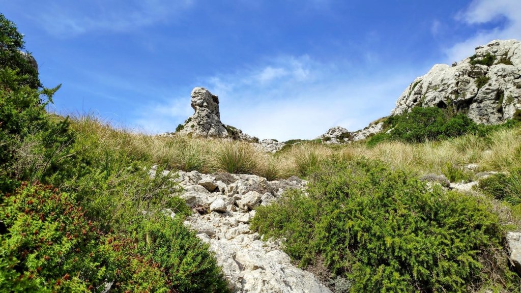 Vista de un sendero rocoso rodeado de vegetación, con una formación rocosa en el fondo conocida como el vigilante