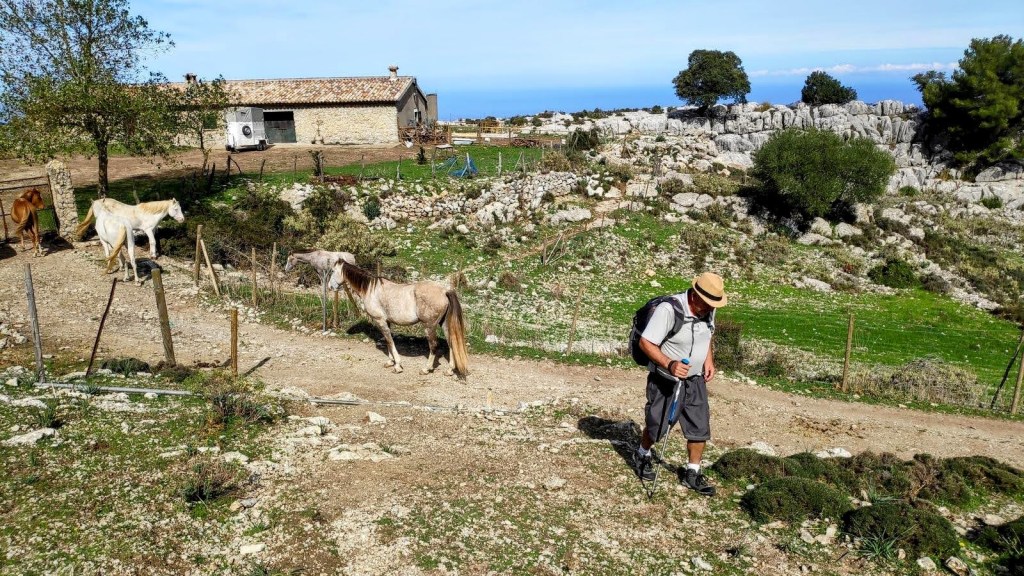 Un hombre camina por un sendero rural rodeado de caballos y un paisaje montañoso, con la Casa de Sa Serra al fondo.
