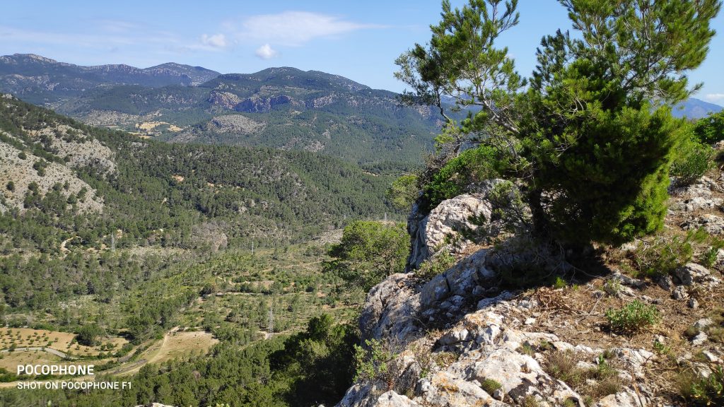 Mirador de Alzamora desde Pinar Parc