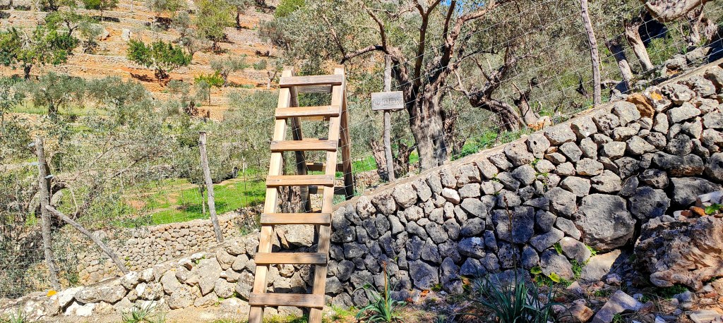 Escalera de madera junto a un muro de piedra en un paisaje rural con árboles y vegetación.