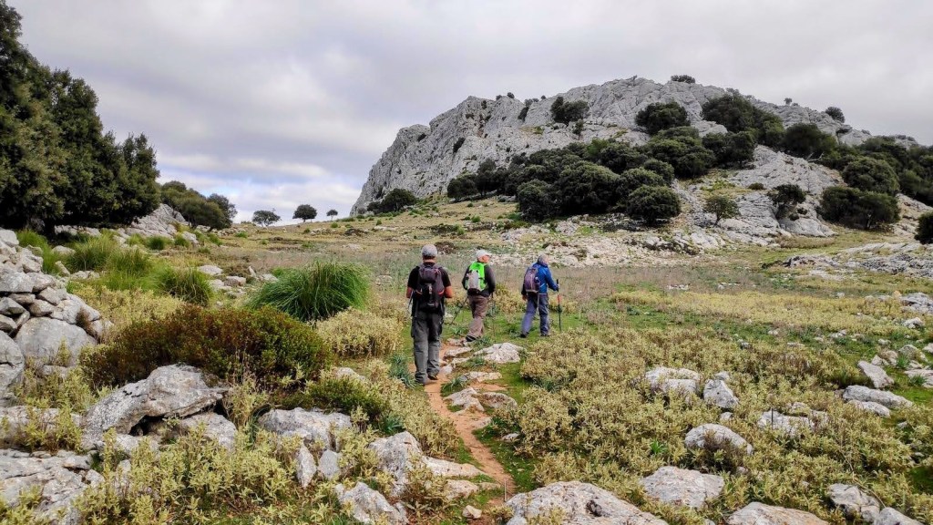 Grupo de caminantes en un sendero con vegetación y rocas en el Coll des Jou.