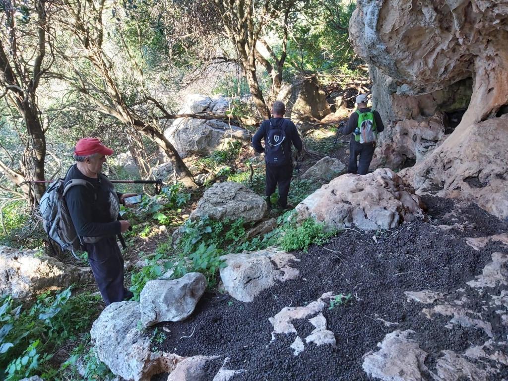Grupo de senderistas caminando por un sendero rocoso entre vegetación, en la zona de ses Covases.