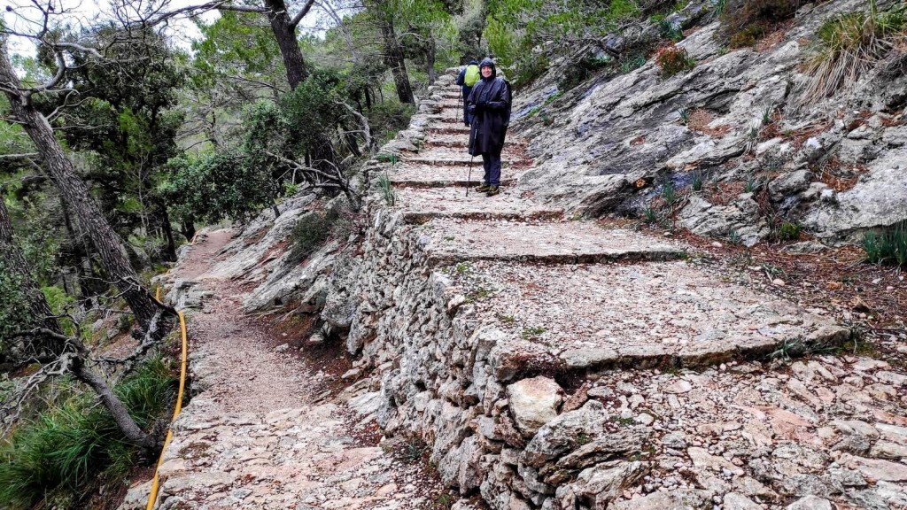 Sendero empedrado con escaleras en la Ruta Castillo de Alaró, rodeado de vegetación y árboles.