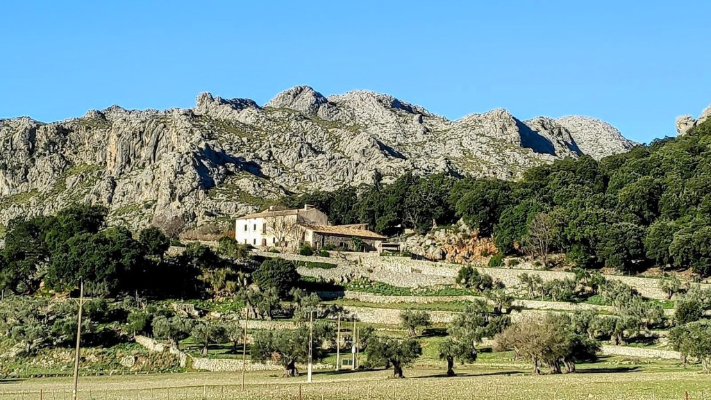 Vista de la Finca de Mossa rodeada de montañas en un día despejado.