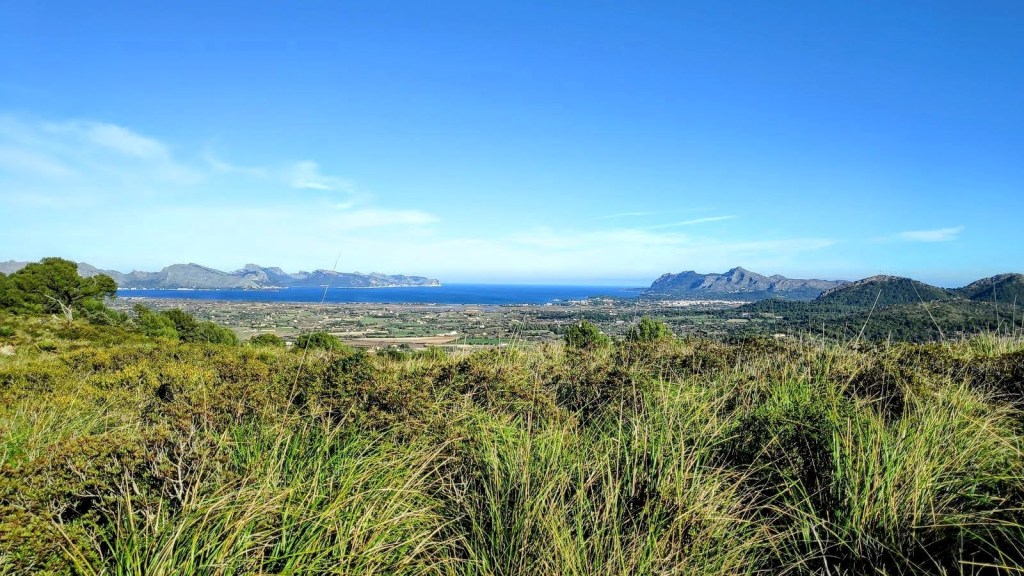 PUIG DE SON VILA-SES&nbsp;COVASSES