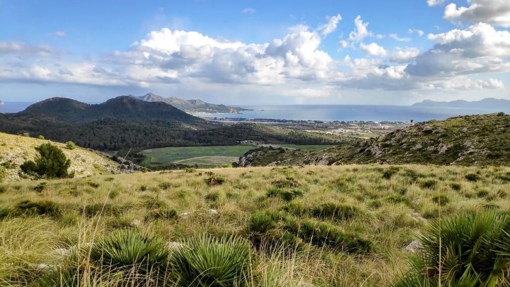 Panorama de la bahía de Pollença desde la Sierra de Son Fe, con vegetación en primer plano y nubes en el cielo.