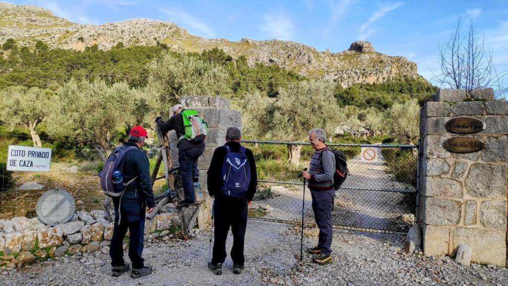 Grupo de personas en la barrera de acceso a la posesión de Femenias, preparándose para comenzar una ruta de senderismo en la Serra de Tramuntana, rodeados de olivos y montañas.