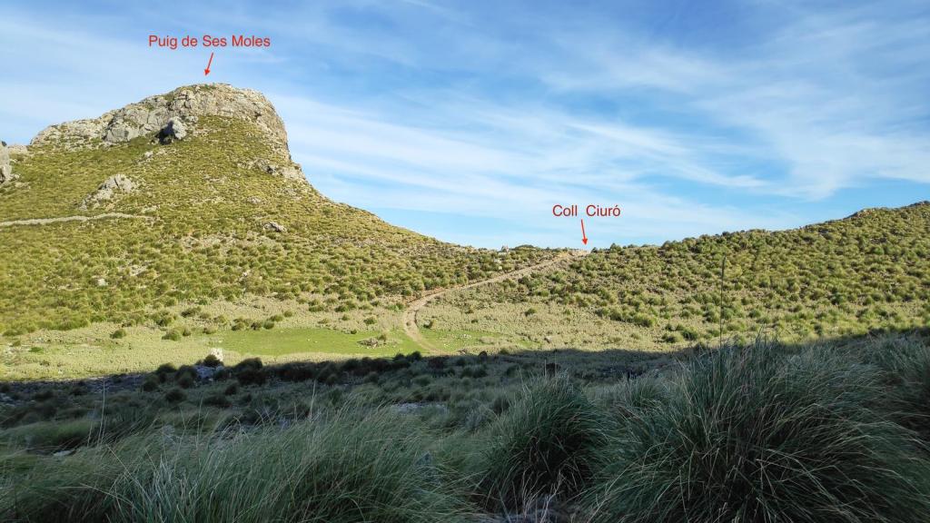 Vista panorámica de la ruta hacia el Puig de Ses Moles y el Coll Ciuró en la Serra de Tramuntana, con vegetación y senderos visibles.
