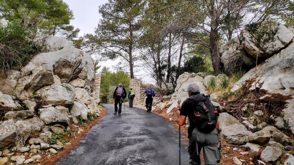 Grupo de senderistas caminando por un sendero rodeado de rocas y árboles en la ruta Puig de Ca Miner.