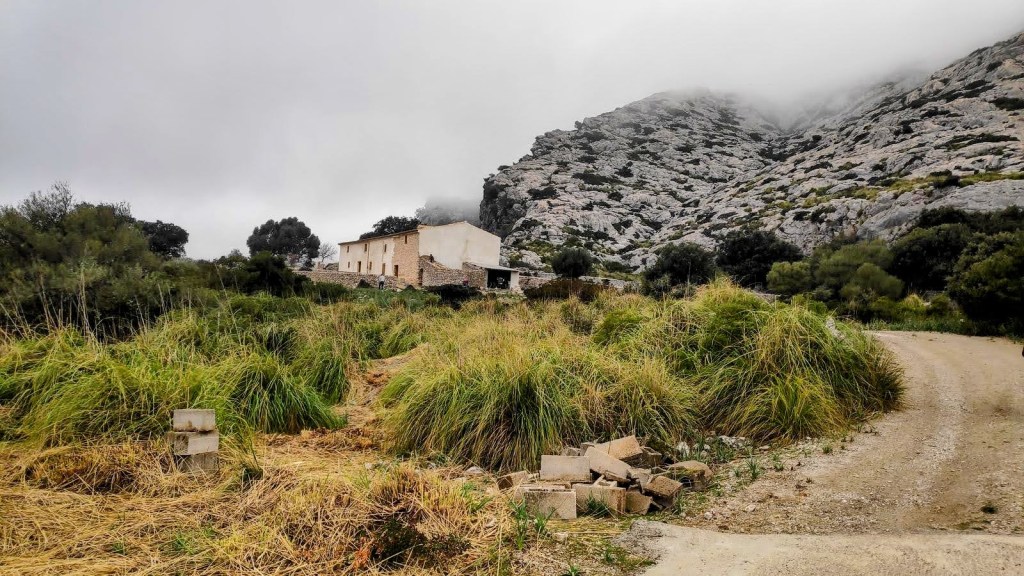 Vista de las Casas de Miner Gran rodeadas de vegetación en un paisaje montañoso nublado.