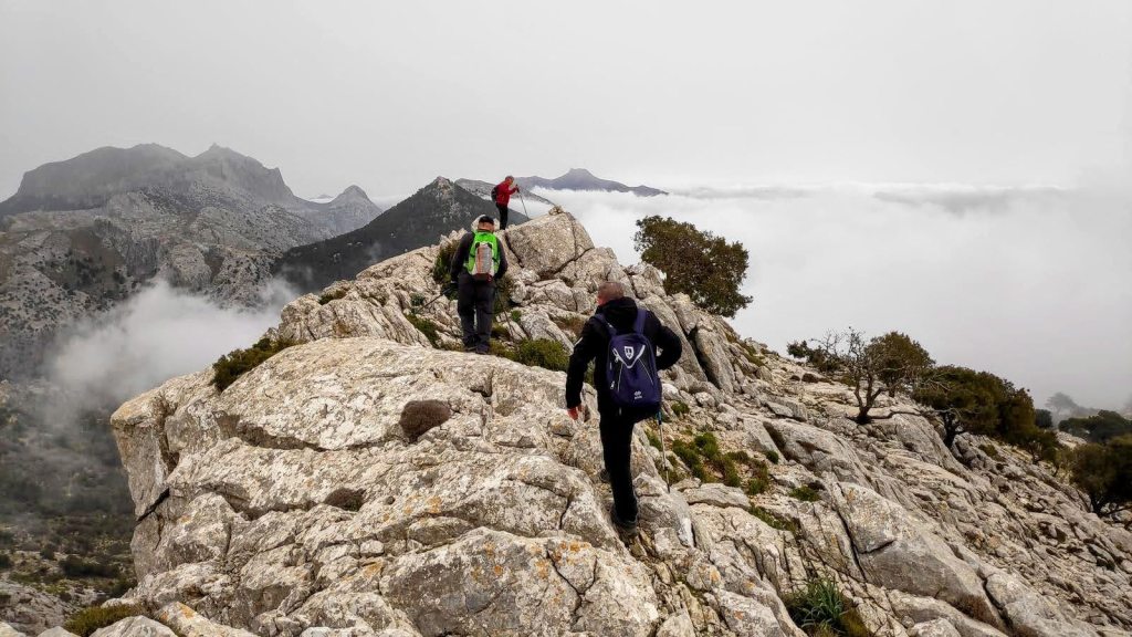 PUIG DES COLL DES JOU Desde&nbsp;Orient