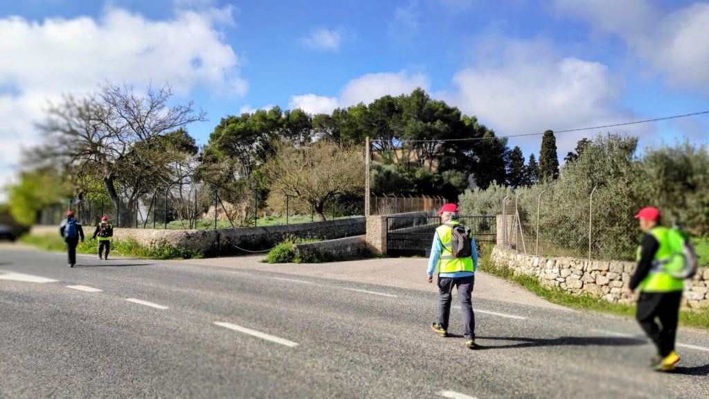 Grupo de personas caminando por un camino rural con árboles y vegetación al fondo en un día soleado.