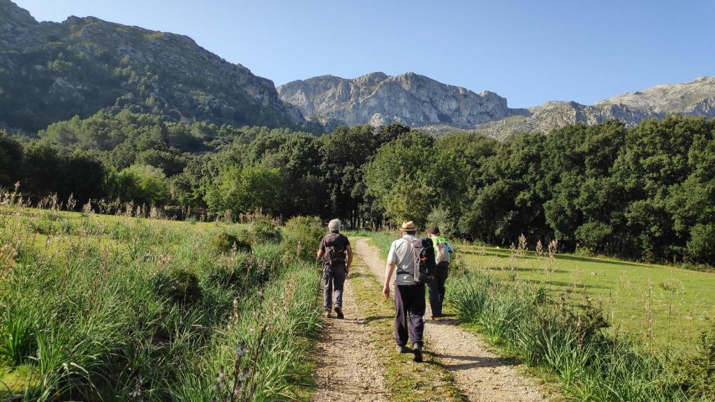 Un grupo de personas caminando por un sendero rodeado de vegetación, con montañas al fondo en un día soleado.