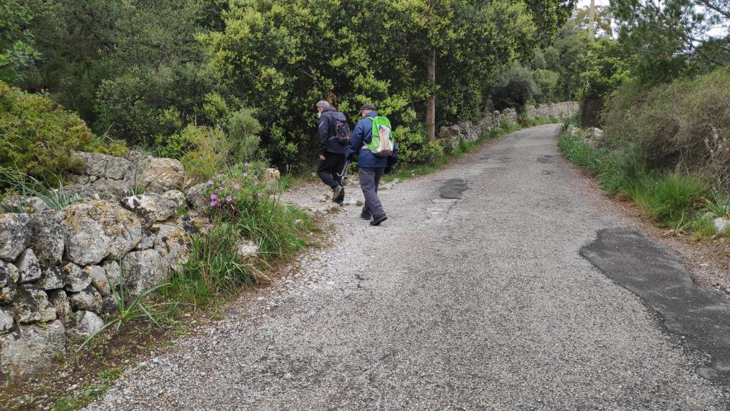 Aquí abandonamos el Camí de ses Artigues y seguimos por la izquierda