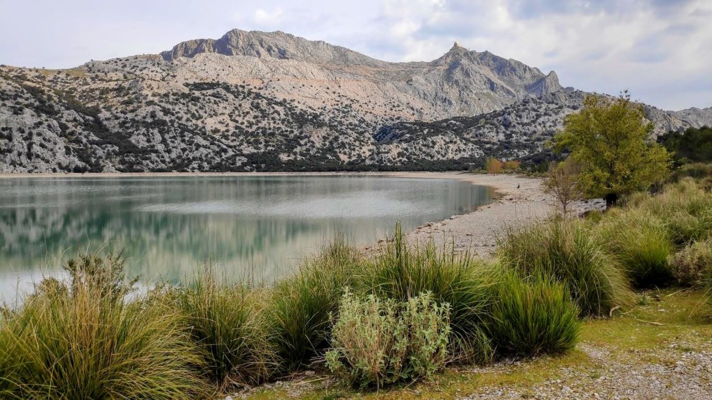 Vista panorámica del embalse de Cúber con montañas de la Serra de la Tramuntana al fondo y vegetación ribereña en primer plano.