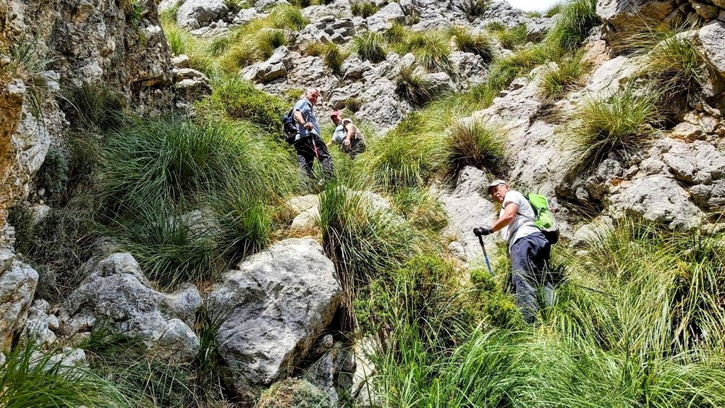 Tres excursionistas ascendiendo por una canal empinada y rocoso, rodeados de vegetación y hierba alta en un entorno montañoso.