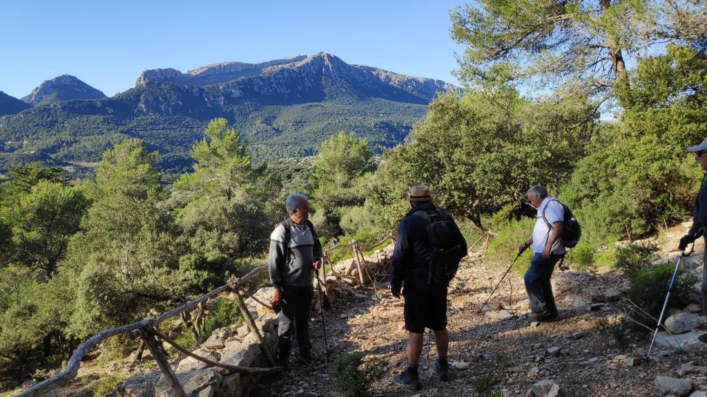 Grupo de senderistas caminando por un sendero rodeado de vegetación, con montañas al fondo.