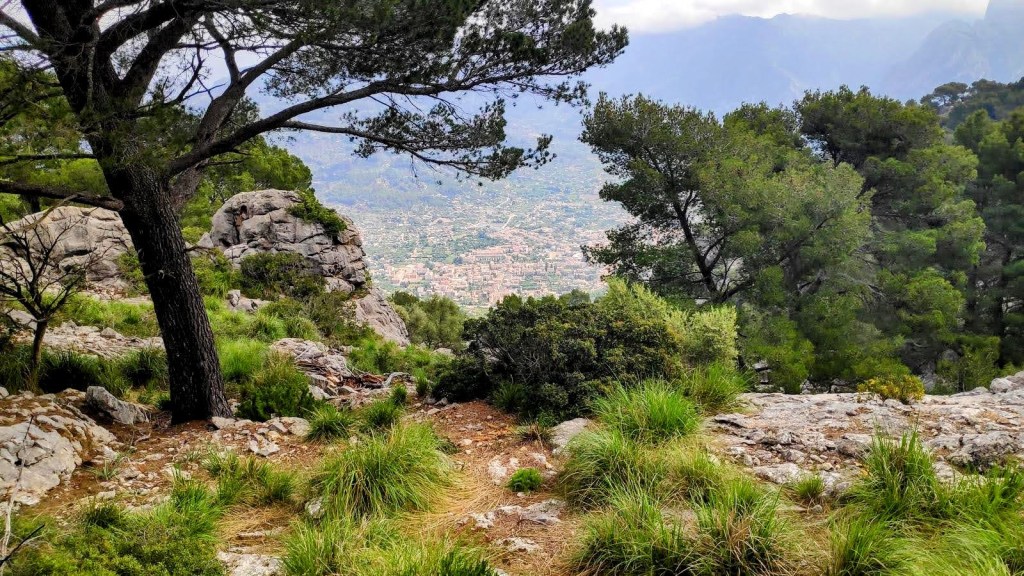 Vista del valle de Sóller con vegetación abundante y rocosidad, rodeada de árboles hacia el fondo de la imagen.
