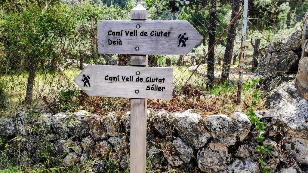 Señal de dirección para senderos, indicando 'Camí Vell de Ciutat' hacia Deià y Sóller, con un fondo natural de árboles y rocas.