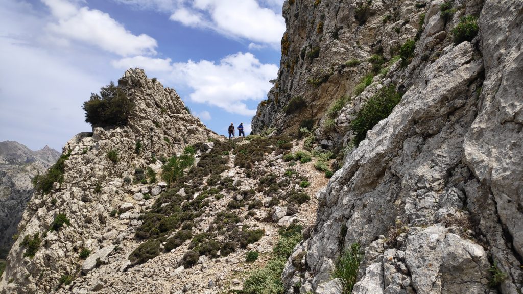 Puig del Coll del Jou desde el Túnel-Monnàber