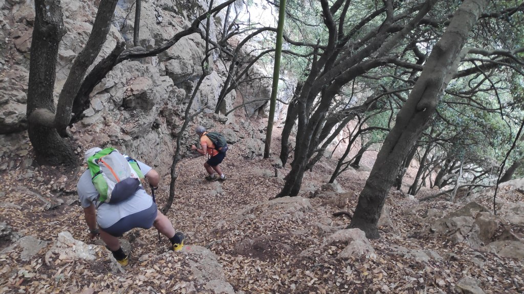 Dos excursionistas ascendiendo por un terreno rocoso y cubierto de hojas en un bosque montañoso, rodeados de árboles.