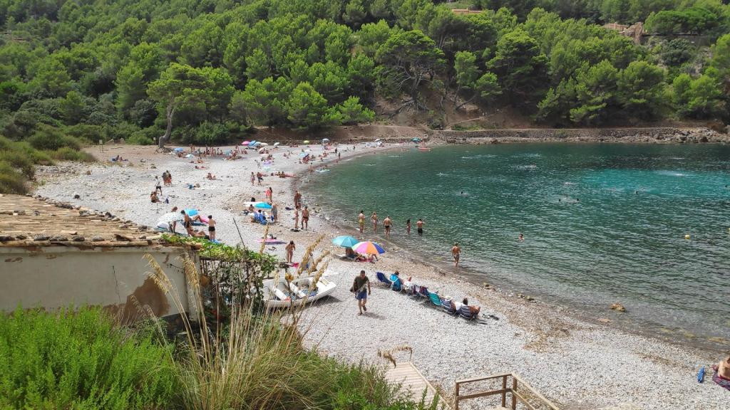 Vista de Cala Tuent, una playa de guijarros con personas disfrutando del sol y el agua, rodeada de vegetación frondosa.