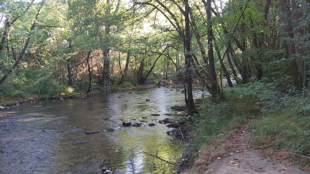 río Arga rodeado de vegetación boscosa, con piedras visibles en su lecho, y un sendero que discurre a su lado.