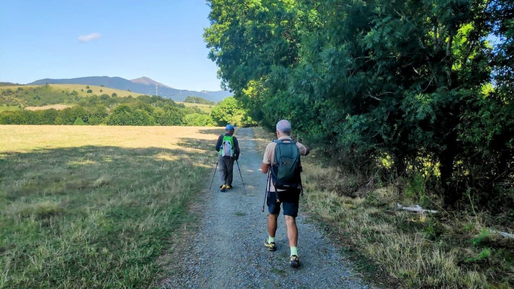 Dos caminantes avanzando por un sendero rodeado de prados y árboles en un paisaje montañoso.