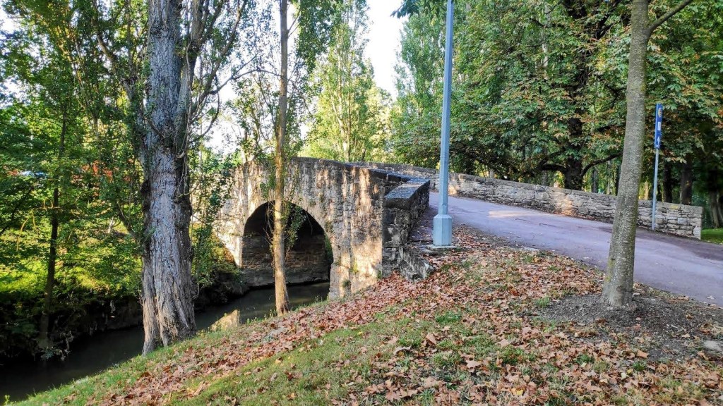 Puente de piedra sobre un río, rodeado de árboles y hojas caídas, en un entorno natural tranquilo.