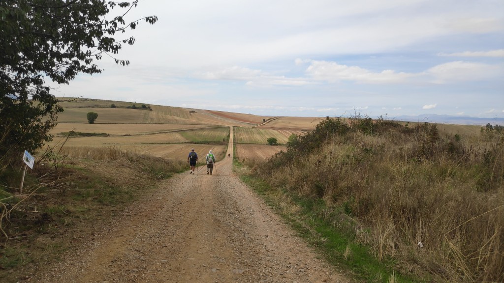 Dos peregrinos caminando por un camino de tierra, rodeado de campos agrícolas y colinas en el paisaje.