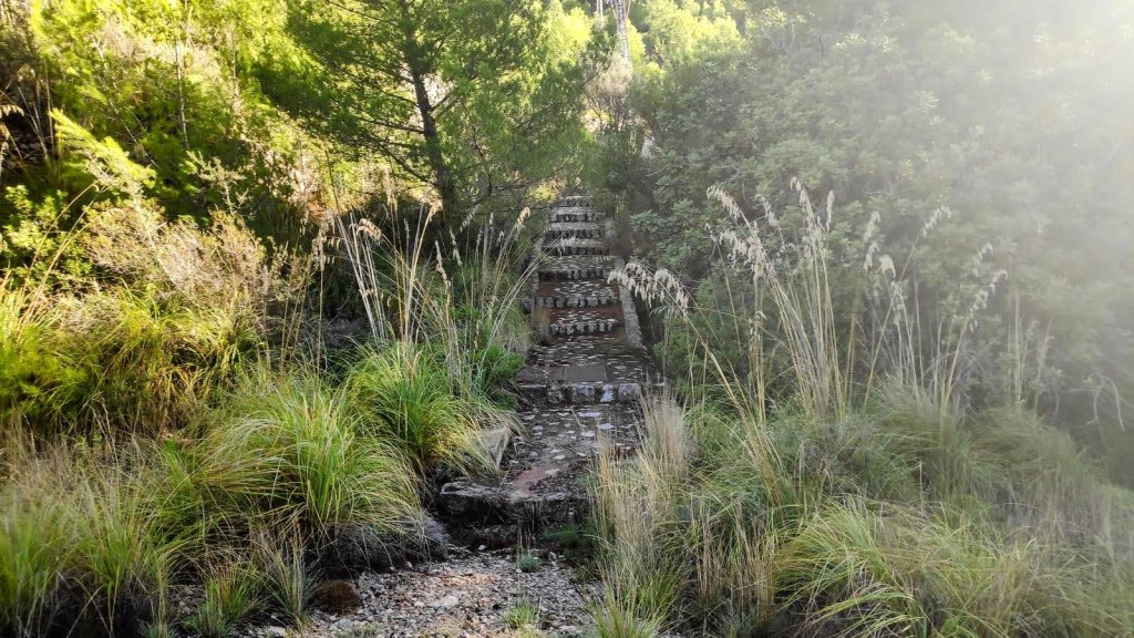 Escalera empedrada rodeada de vegetación en la ruta 'Sa Costera' en Mallorca.