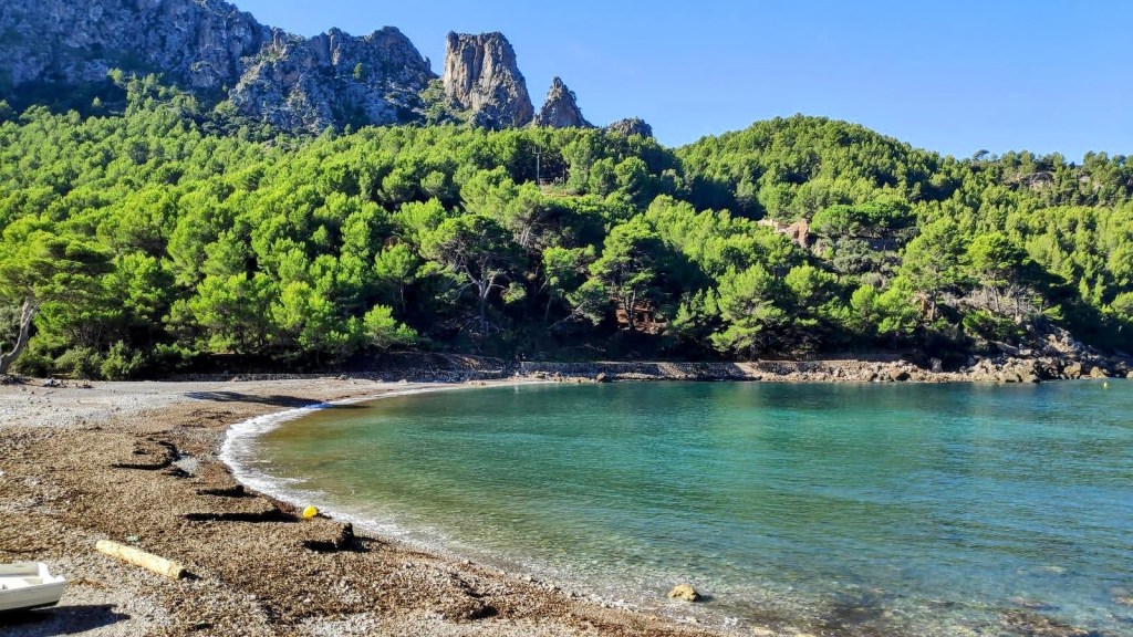 Vista de la Cala Tuent, una playa virgen rodeada de montañas y frondosos bosques de pinos, con aguas tranquilas y un fondo de guijarros.
