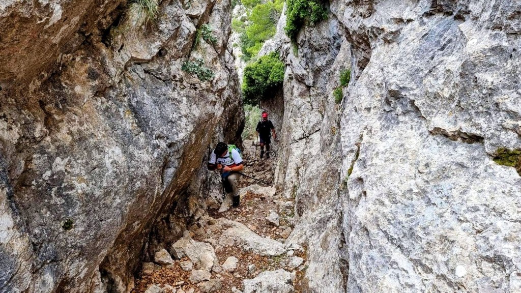 PUIG DE SA FONT desde&nbsp;Raixa