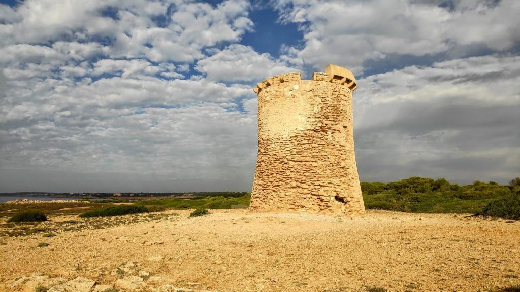 S’ESTANYOL a VALLGORNERA (Cala&nbsp;Pi)