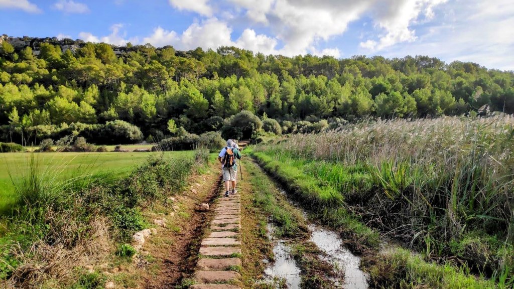 Senderista caminando por un sendero de piedra, rodeado de vegetación y campos verdes en Menorca.