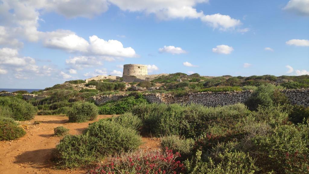 Vista de la Torre de defensa de Alcalfar en Menorca, rodeada de vegetación y un cielo con nubes esponjosas.