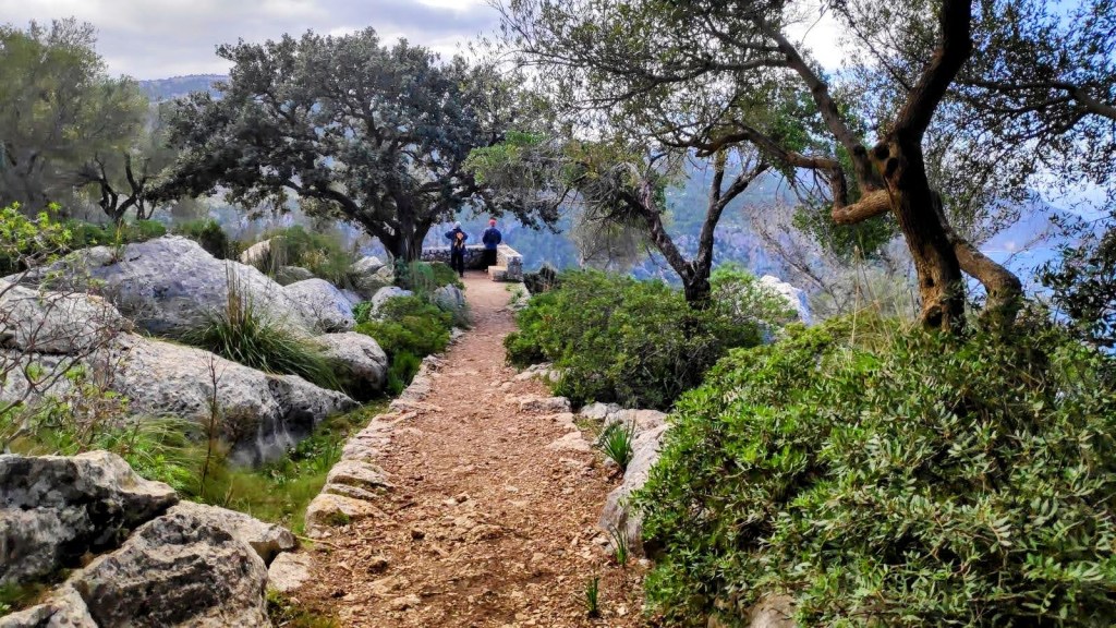 SES ERMITES VELLES-MIRADORES DE VALLDEMOSSA - Caminando por Mallorca Mirador des Port rodeado de vegetación y rocas, con dos caminantes al fondo.