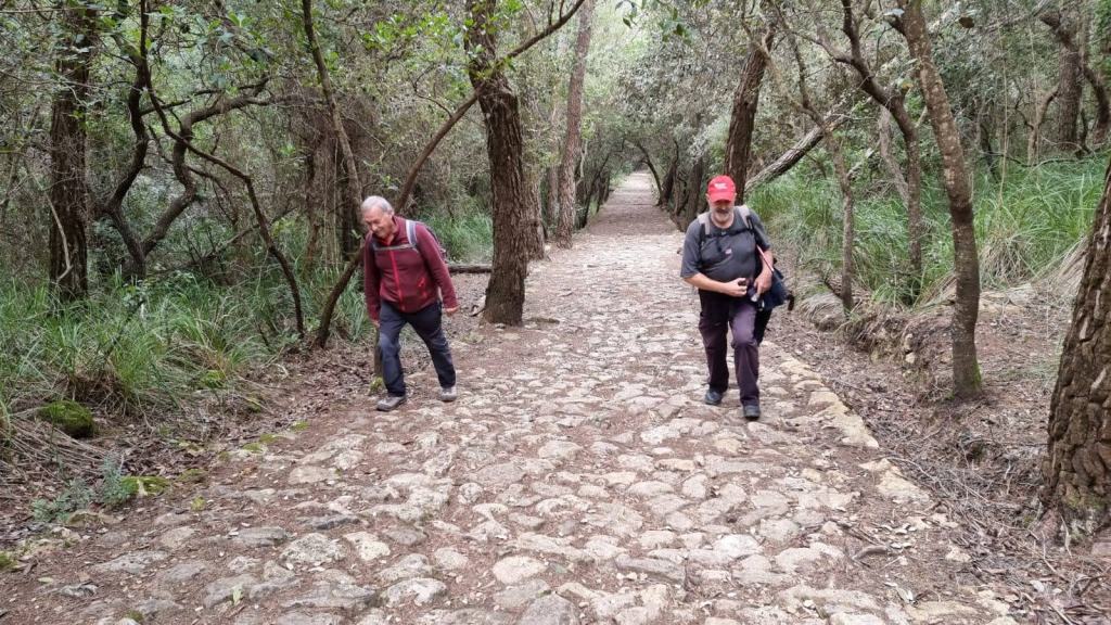 Dos excursionistas caminando por un sendero empedrado rodeado de árboles en la Ruta de la Pedra en Sec-GR221-Etapa 3.