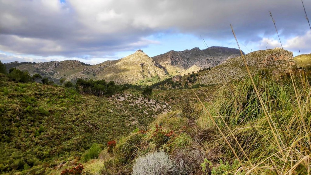 FINCA DE GALATZÓ Y CANALETA DE&nbsp;RATXO