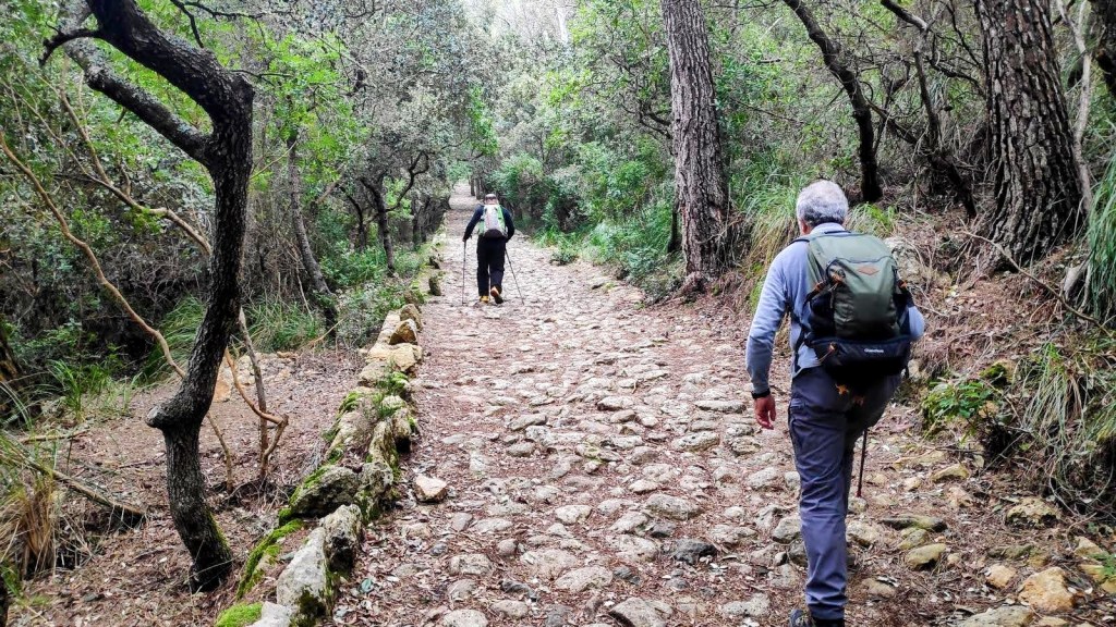 RUTA DE LA PEDRA EN SEC GR-221 ETAPA 3: Estellencs-Esporles