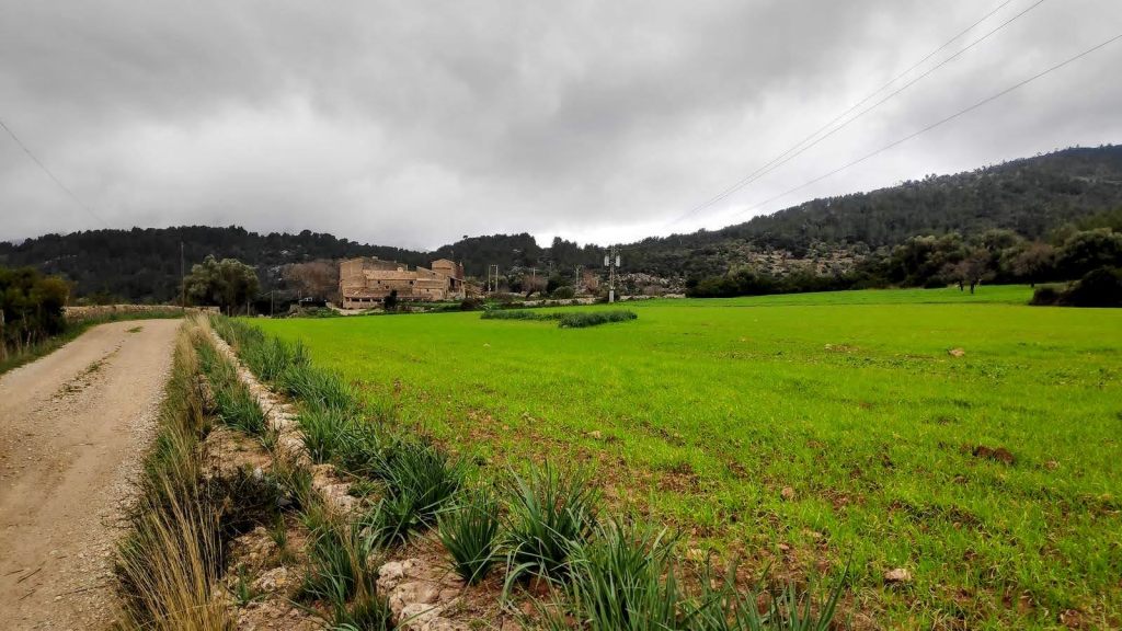 Vista de un camino de tierra que atraviesa un campo verde con vegetación, con montañas al fondo y un cielo nublado.