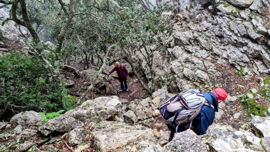 Dos senderistas descendiendo por un camino rocoso rodeado de vegetación en la 'Ruta de la Pedra en Sec-GR221-Etapa 4'.