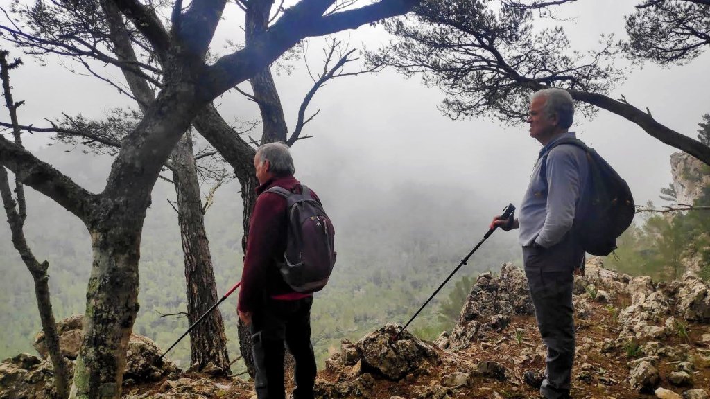 RUTA DE LA PEDRA EN SEC GR-221 ETAPA 4: Esporles-Valldemossa