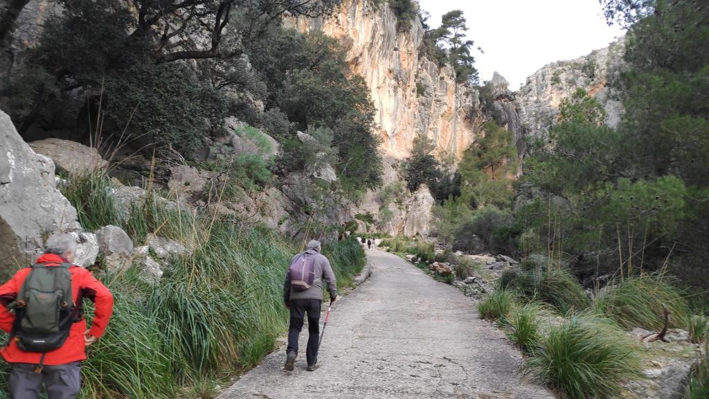 Dos senderistas caminando por un sendero rodeado de vegetación en la Serra d'Amos, con altos acantilados de roca a ambos lados.