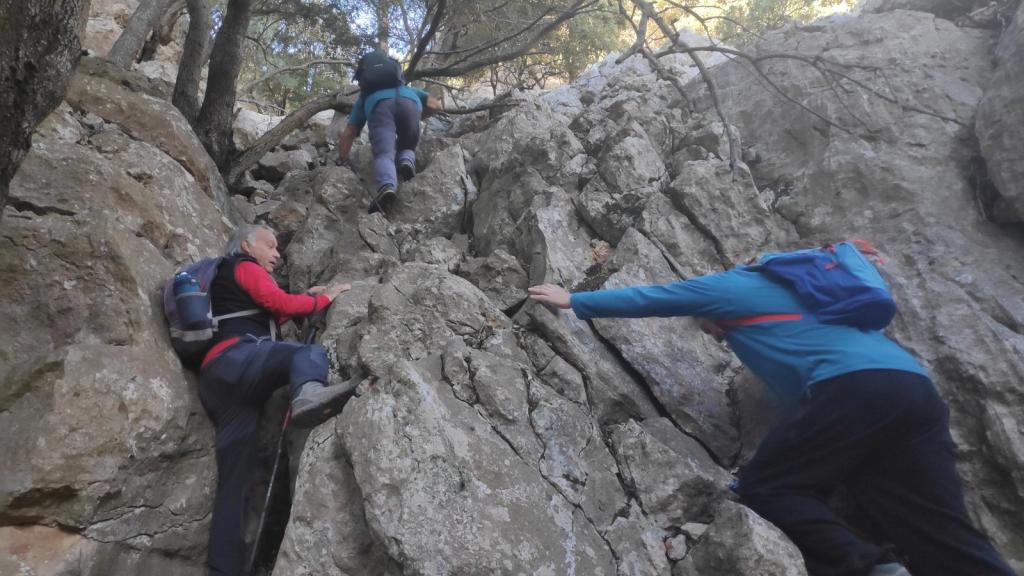 Escaladores ascendiendo por un terreno rocoso en la ruta hacia la cima de la Moleta de Son Cabaspre, rodeados de árboles.