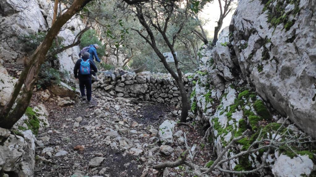 Sendero rocoso en un bosque, con dos personas caminando y una pared de piedra a un lado.