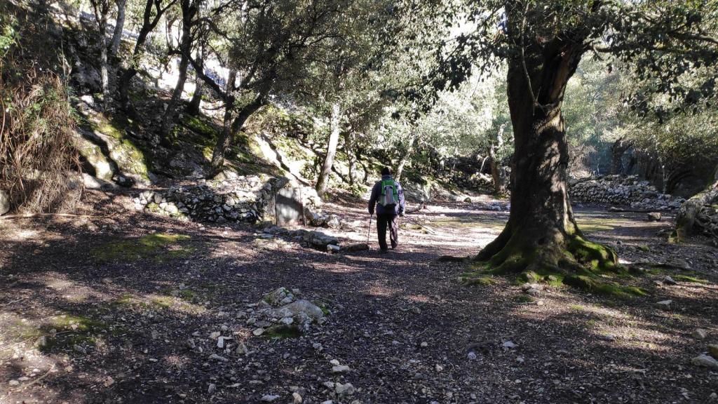 Senderista caminando por un sendero en un bosque rocoso, con árboles frondosos y terreno cubierto de hojas secas.