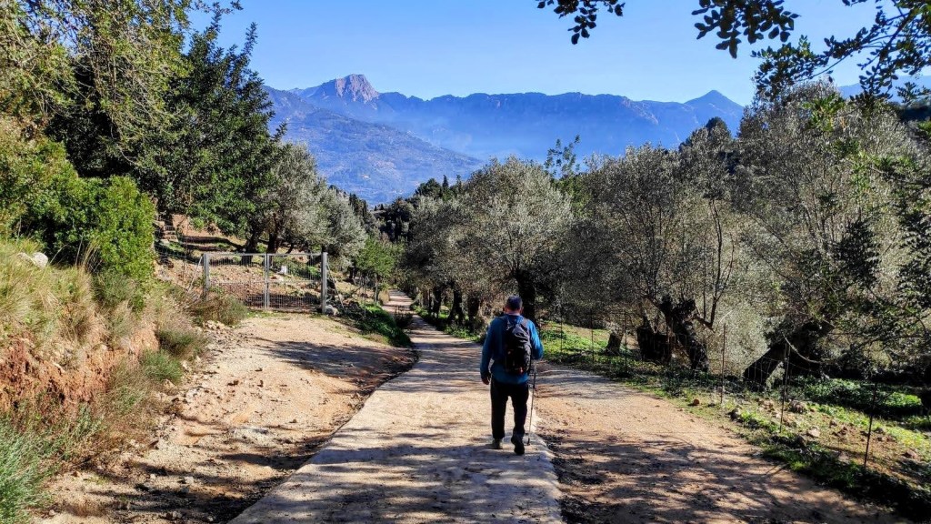 CAMÍ DE ROCAFORT-CAMÍ DE CASTELLÓ-CAMÍ DE SON SALES&nbsp;(Sóller)