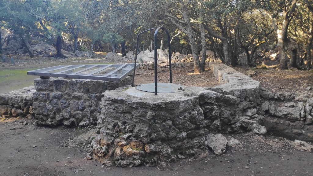Vista de un pozo de piedra en un entorno forestal, rodeado de vegetación, con una tapa metálica encima y un paisaje natural de árboles al fondo.