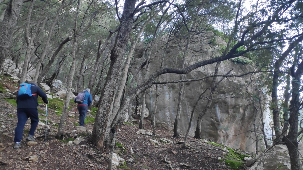 Senderistas avanzando por un sendero rodeado de árboles en un bosque denso, con un gran peñasco visible al fondo.